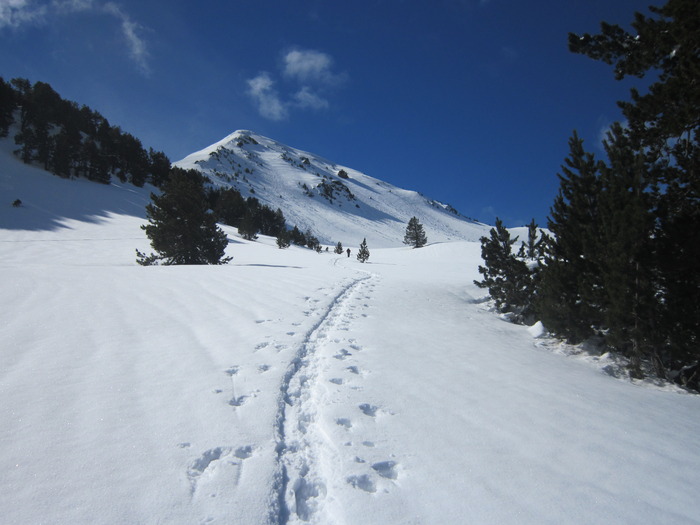 Tuc de salana