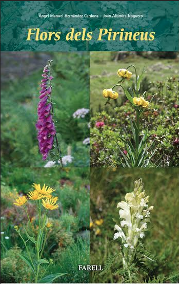 FlorsdelPirineu
