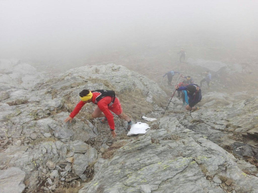 foggytrainning