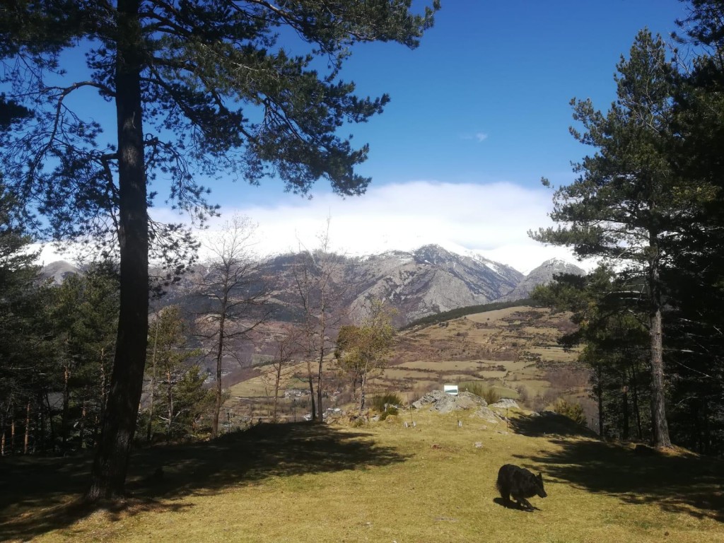 IMG-20190510-WA0001
