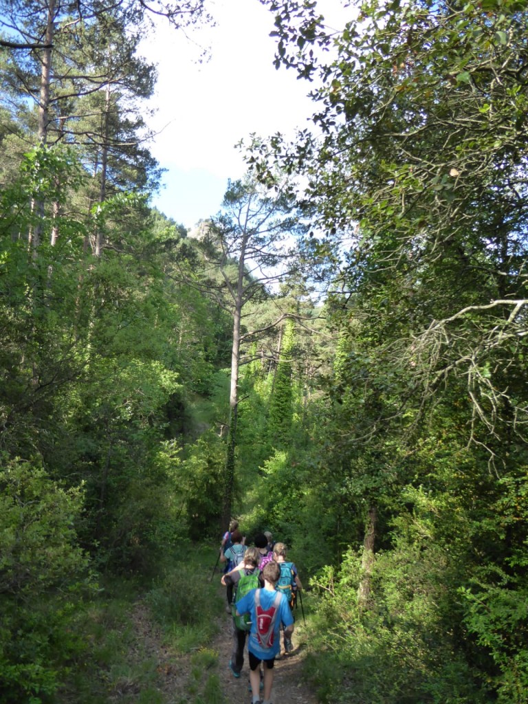 IMG-20190616-WA0012